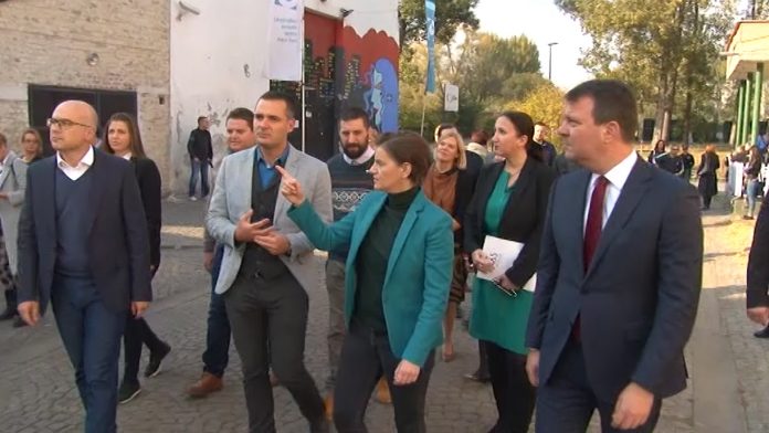 Vucevic i Brnabicka fabrika YT