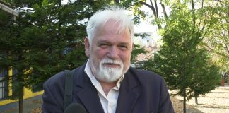 Milan Brdar-Srpska akademija nauka i umetnosti je u dubokoj krizi