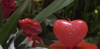 Predstavljamo vam ponudu cvećara Jasmin i Narcis za Dan zaljubljenih