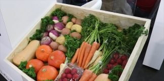 Fruit Logistica 2019