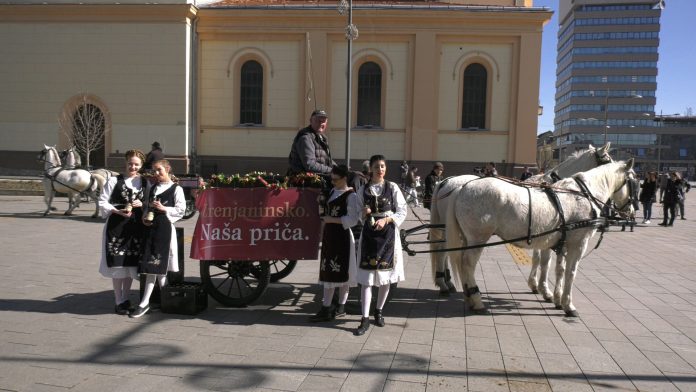 Promocija piva YT
