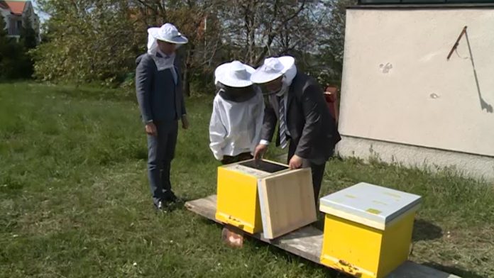 Dan planete zemlje agencija za zastitu ziv sredine YT