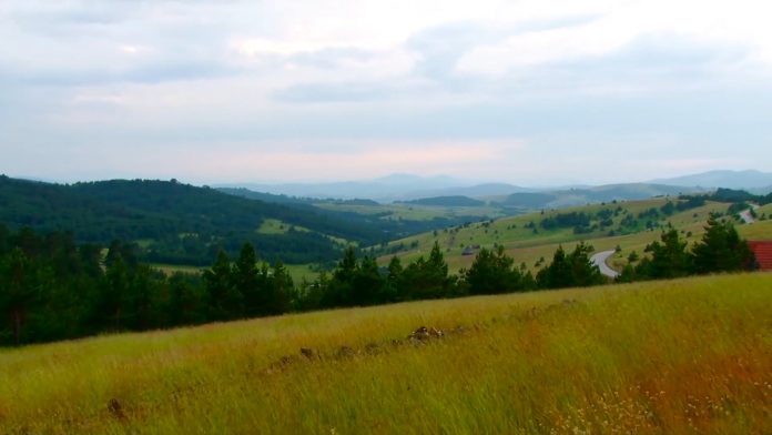 Zlatibor YT