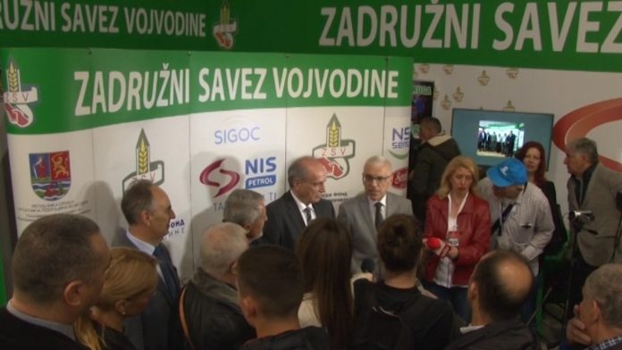 Krkobabic NS sajam YT