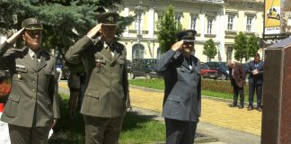 Polaganje venaca Vidovdan