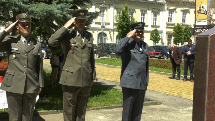 Polaganje venaca YT