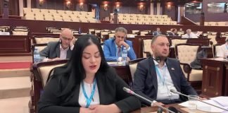 Aleksandra Belačić na zasedanju Parlamentarne skupštine Crnomorske ekonomske saradnje u Bakuu