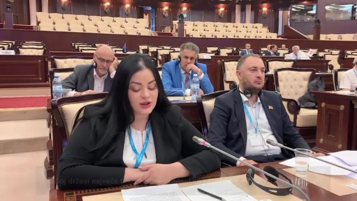 SRS Aleksandra belacic YT