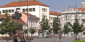 Anketa – Srpski jezik na fakultetima