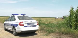 Avion pao nedaleko od Aerodroma „Ečka“