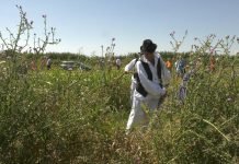 Održani „Žetelački dani“ u Mužlji