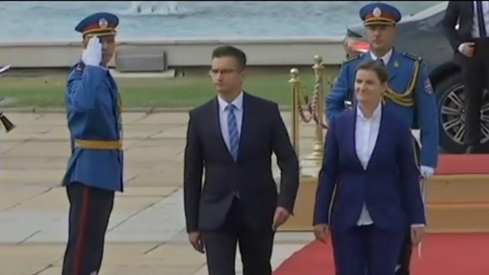 Brnabic YT