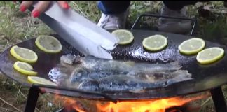 Održani peti po redu „Dani pastrmke“