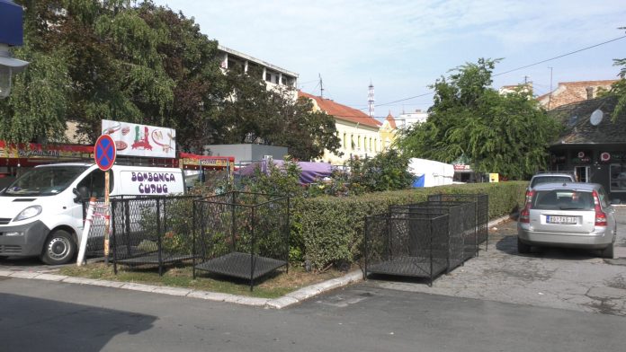 Cistoca dani piva YT
