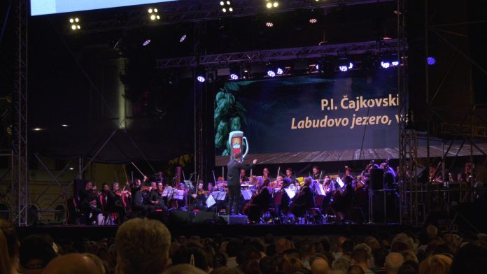 Dani piva koncert Zrenjaninske filharmonije YT