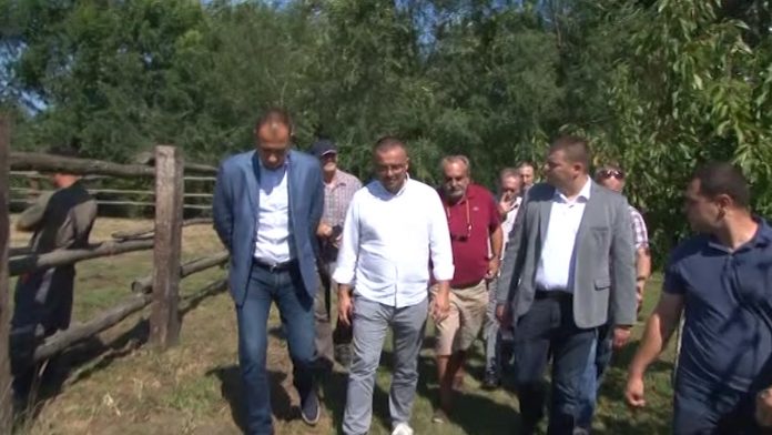 Nedimovic i Radojevic srecna koza YT