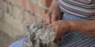 Udruženje “Banatsko jagnje” u Boki postoji već nešto više od 4 godine