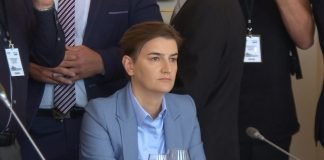 Premijerka Brnabić u Pragu