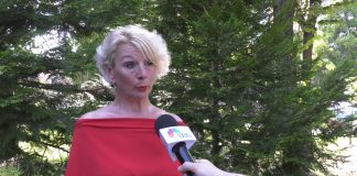 Gordana Dragić o upotrebi zeolita u medicini za terapijske svrhe