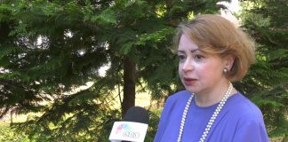 Mila Alečković o odmeravanju snaga proevropskog i proruskog bloka unutar Vlade Srbije