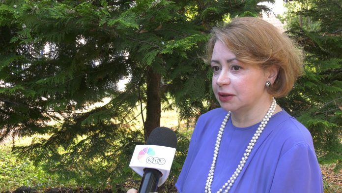 Mila Aleckovic pitanje za Objektiv YT