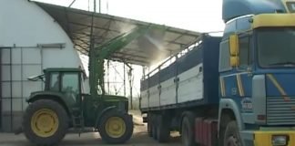 Razmatranje predloga udruženja o modelu razmene merkantilnog kukuruza za utovljenu junad