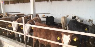 Republička direkcija za robne rezerve objavila je Javni poziv za naturalnu razmenu