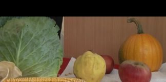 Obeležavanje Svjetskog dana hrane u Poljoprivrednoj školi u Bijeljini