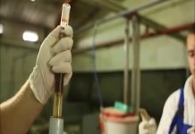 Tokom oktobra bi trebalo da prestane vakcinacija svinja protiv klasične kuge svinja