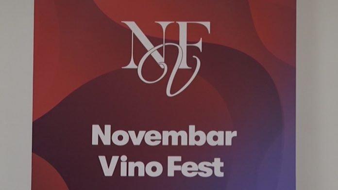 Novembar Vino Fest YT