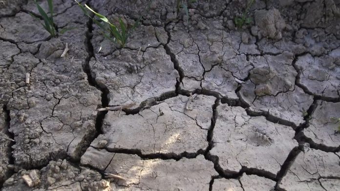 Opadanje organske materije u zemljistu