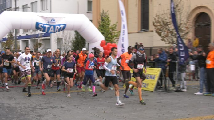 Polumaraton YT