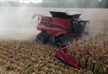 Vukosav Saković: Ovogodišnji rod useva dobar