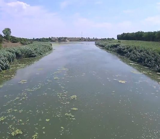 Novo zagađenje vode na kanalu DTD