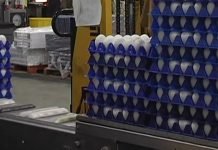 Usvojen Pravilnik o izmenama pravilnika o kvalitetu jaja