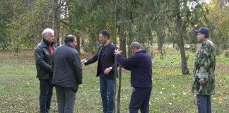 Predstavnici GrO Pokreta obnove Kraljevine Srbije zasadili tri jasena u Šećeranskom parku