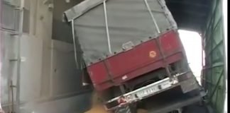 Raspisan javni poziv za razmenu kukuruza za junad