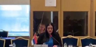 Aleksandra Belačić: Strani investitori postavljaju našim radnicima nerazumne i nehumane zahteve