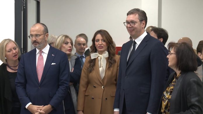 Vucic palata YT