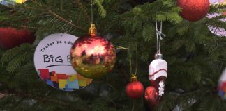 Po 5. put Avivov izbor za najlepšu novogodišnju jelku Zrenjanina
