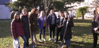 Na prostoru MZ Dositej Obradović organizovana akcija sadnje drveća