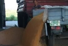 Upravni odbor udruženja Agroprofit se obratio sa zahtevom za podršku premijerki Ani Brnabić