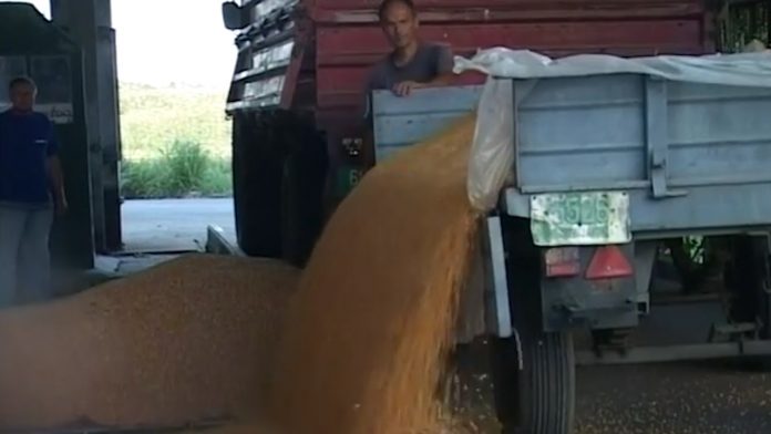 Poljoprivreda upravni odbor YT