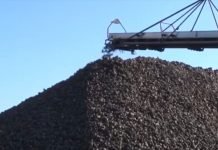 Tržište šećerne repe se polako oporavlja