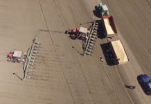 Niska cena smanje ovogodišnju prolećnu setvu