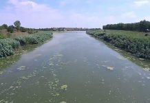 Vode Vojvodine: Naknada za odvodnjavanje za fizička lica plaća se u četiri rate