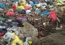 Upravljanje životinjskim otpadom