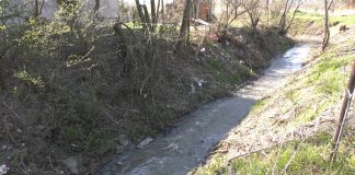 Stanovnici Pančevačke ulice bore se sa problemima koje stvara Aleksandrovački kanal
