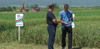 Izriču se mere zaštite zbog pandemije koronavirusa na javnim licitacijama poljoprivrednog zemljišta