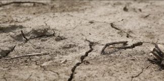Posledice klimatskih promena najviše će se odraziti na područje Mediterana i jugoistočne Evrope